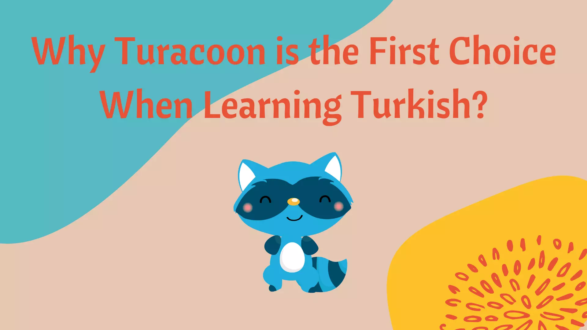 Why Should I Learn Turkish with the Turacoon?