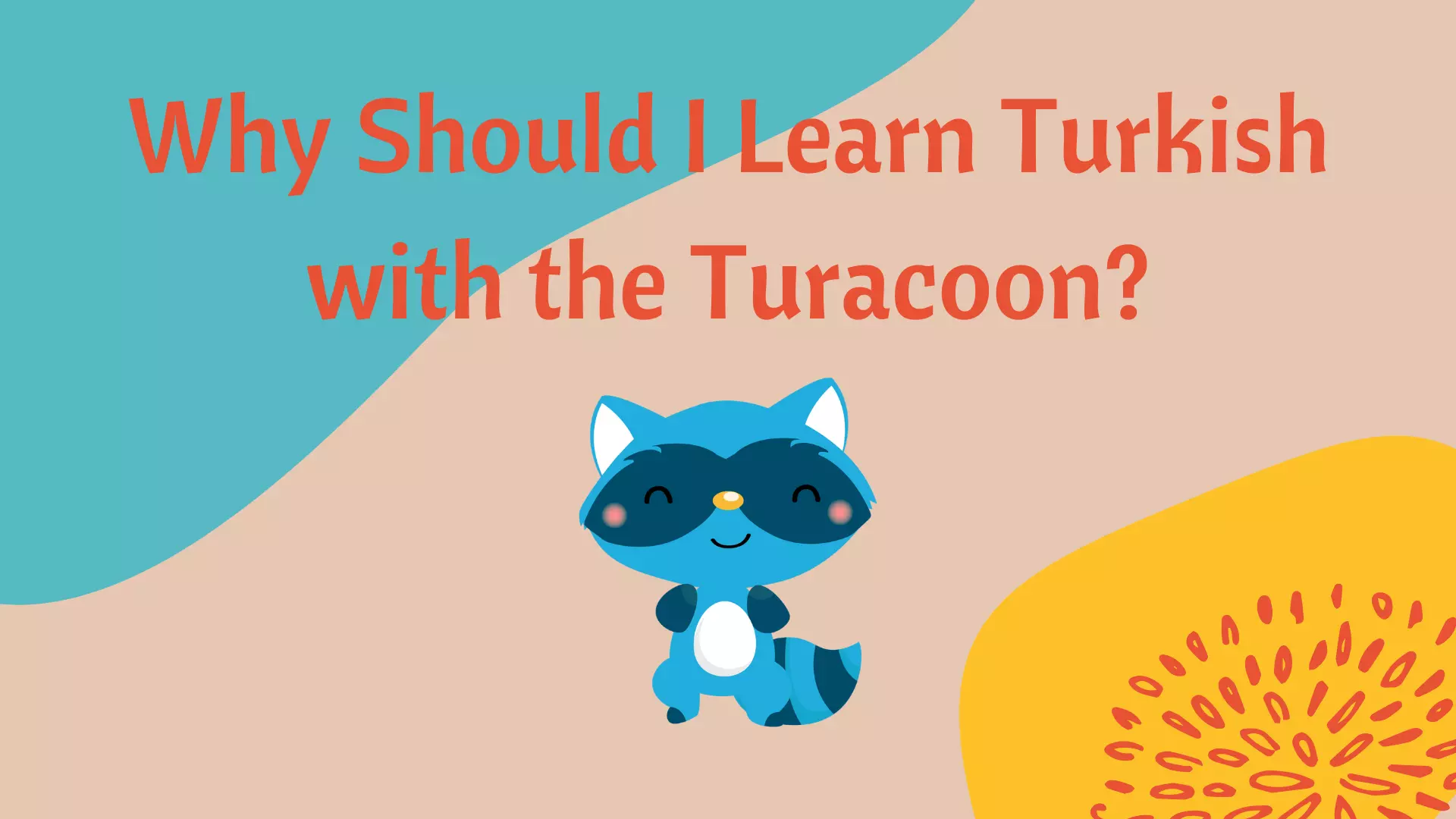 The Right Choice in Online Turkish Education: Turacoon